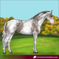 Horse Color:White Spotted Silver Black Tobiano 
