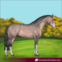 Horse Color:Platinum White Spotted Bay Varnish 