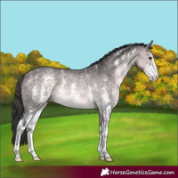 Horse Color:Platinum Buckskin Sabino Rabicano 