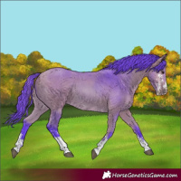 Horse Color:Watercolor Bay Sabino 