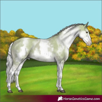 Horse Color:Watercolor White Spotted Palomino 