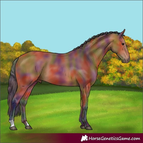 Horse Color:Nacre Bay 