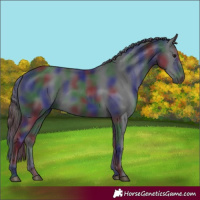 Horse Color:Nacre Black 