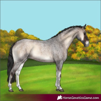 Horse Color:Brown Roan Onyx 