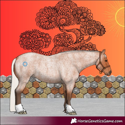 Horse Color:Silver Bay Roan 