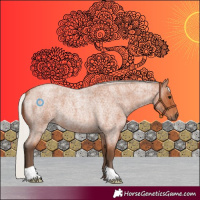 Horse Color:Silver Bay Roan 