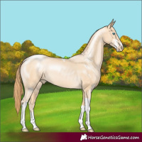 Horse Color:Buckskin Pearl Sabino Tobiano