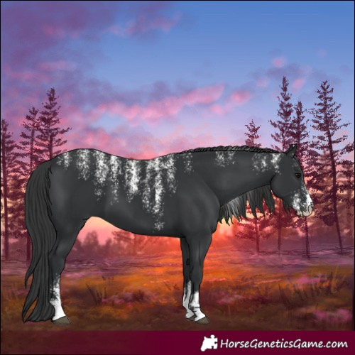 Horse Color:Powder White Black 