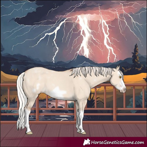 Horse Color:Powder White Silver Classic Champagne Dun Splash Frame 