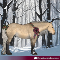 Horse Color:Silver Buckskin Dun 