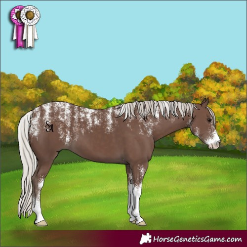 Horse Color:Powder White Silver Black 