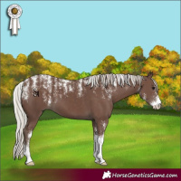 Horse Color:Powder White Silver Black