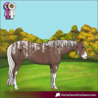 Horse Color:Powder White Silver Black 