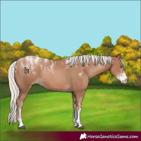 Horse Color:Powder White Silver Black Pearl