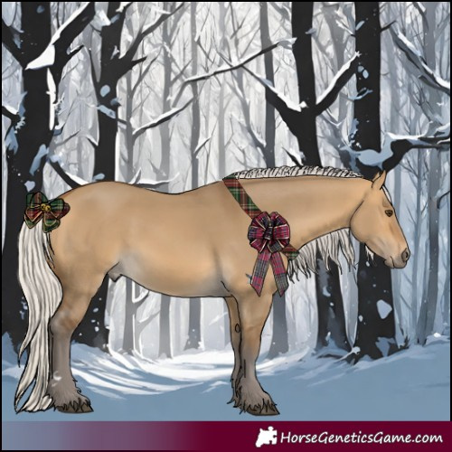 Horse Color:Silver Buckskin Dun 