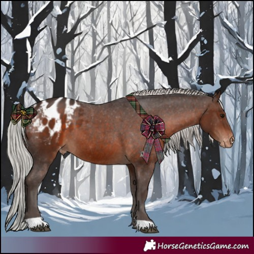 Horse Color:Silver Brown Appaloosa 