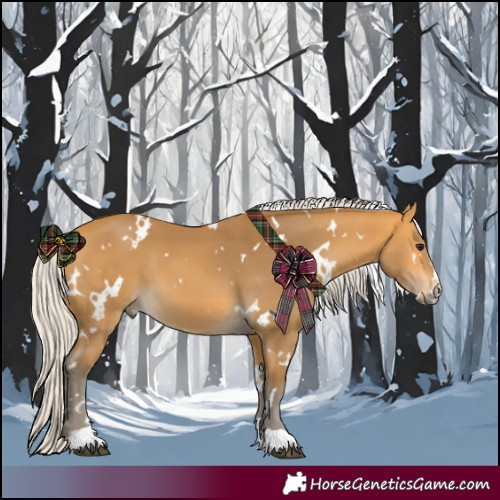Horse Color:White Spotted Silver Buckskin 
