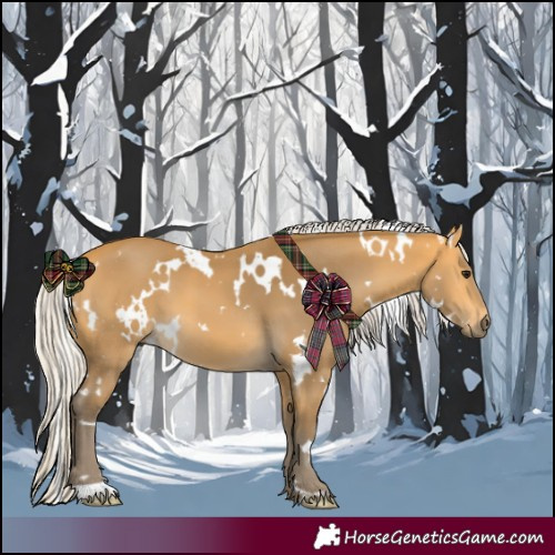 Horse Color:White Spotted Silver Buckskin 