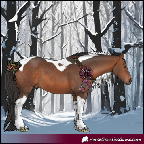 Horse Color:Brown Tobiano 