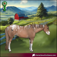 Horse Color:Powder White Black Pearl