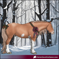 Horse Color:Gold Champagne Tobiano Frame 