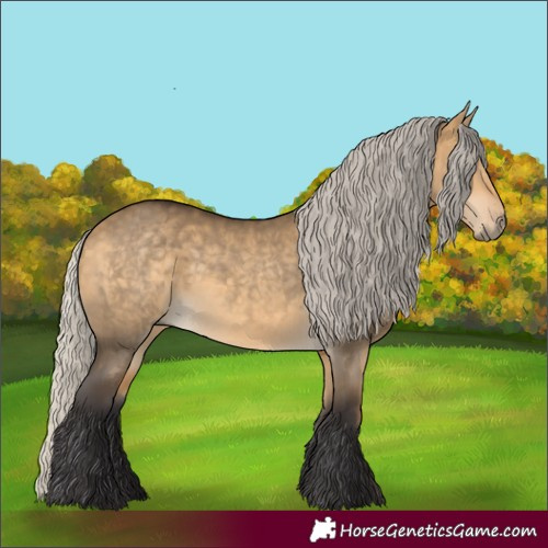 Horse Color:Silver Buckskin Dun 