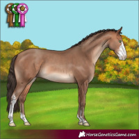 Horse Color:Amber Champagne Sabino 