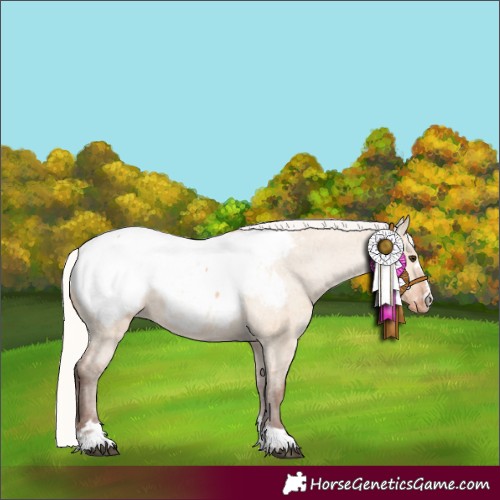 Horse Color:Silver Bay Dun Near Fewspot 