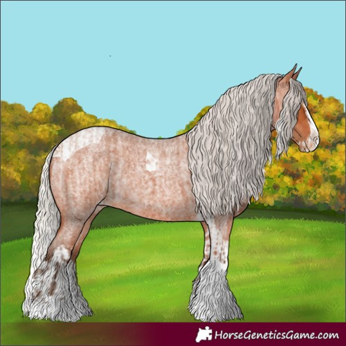 Horse Color:Silver Bay Roan Splash Tobiano Varnish  and Silver Bay Roan Splash Tobiano Varnish Rabicano 