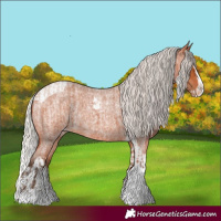 Horse Color:Silver Bay Roan Splash Tobiano Varnish  and Silver Bay Roan Splash Tobiano Varnish Rabicano 