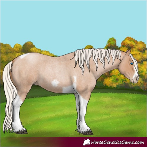 Horse Color:Silver Blue Roan Pearl Tobiano Frame