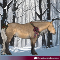 Horse Color:Silver Buckskin Dun 