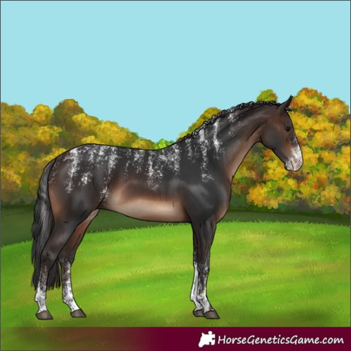 Horse Color:Powder White Brown Rabicano 