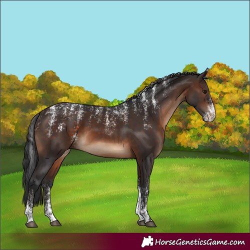 Horse Color:Powder White Brown Rabicano 