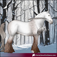 Horse Color:Gray Chestnut 
