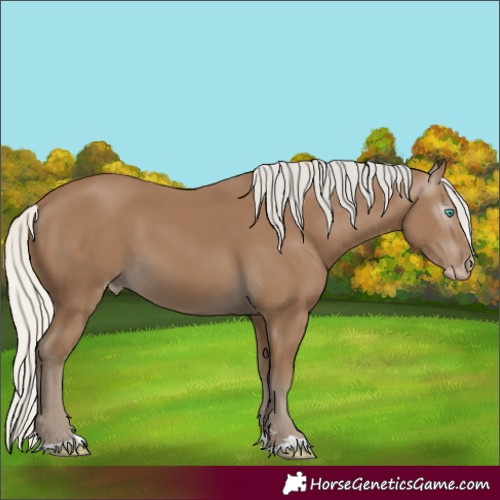 Horse Color:Gray Silver Smoky Creme