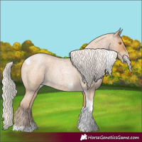 Horse Color:Silver Blue Roan Pearl Tobiano Frame 