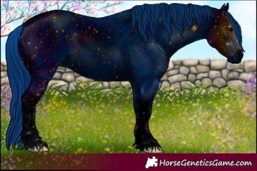 Horse Color:ERROR: UNKNOWN ANOMALY