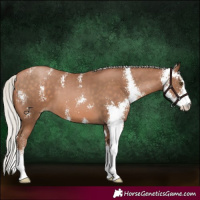Horse Color:Silver Brown Pearl Sabino