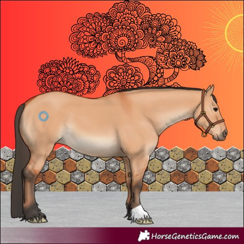 Horse Color:Bay Dun 