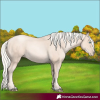 Horse Color:Gold Cream Champagne Pearl 