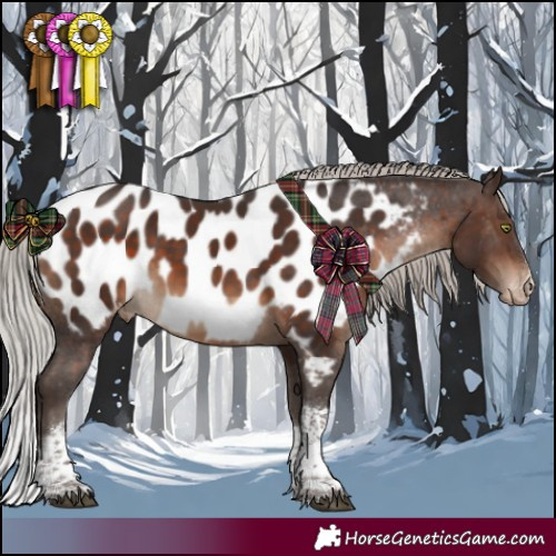 Horse Color:Silver Brown Sabino Tobiano Appaloosa Rabicano 