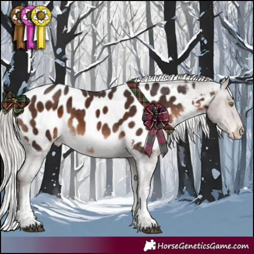 Horse Color:Silver Brown Sabino Tobiano Blanket Rabicano 