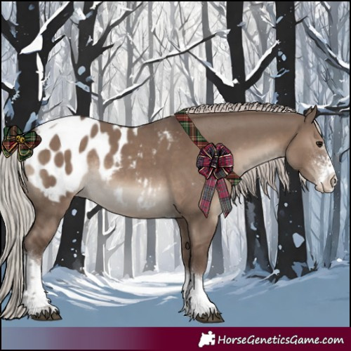 Horse Color:Silver Grullo Sabino Tobiano Appaloosa Rabicano 