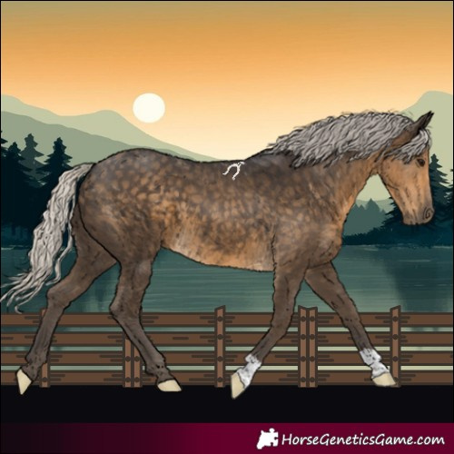 Horse Color:Silver Smoky Black 