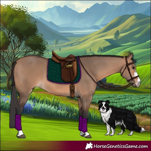Horse Color:Brown Dun 