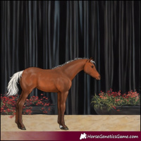 Horse Color:Silver Brown 