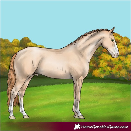Horse Color:Classic Champagne Pearl Sabino