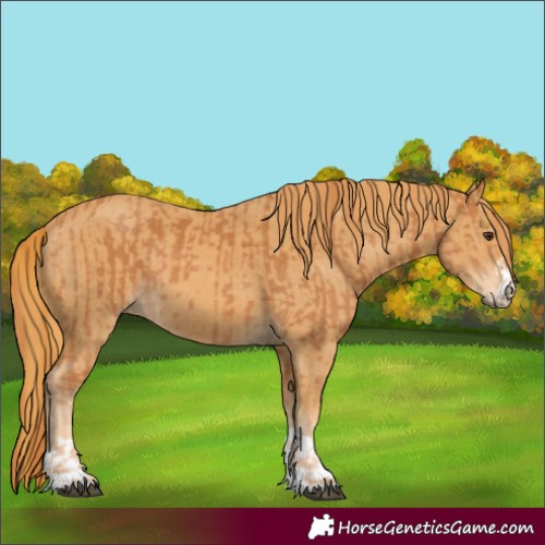 Horse Color:Chestnut and Chestnut
