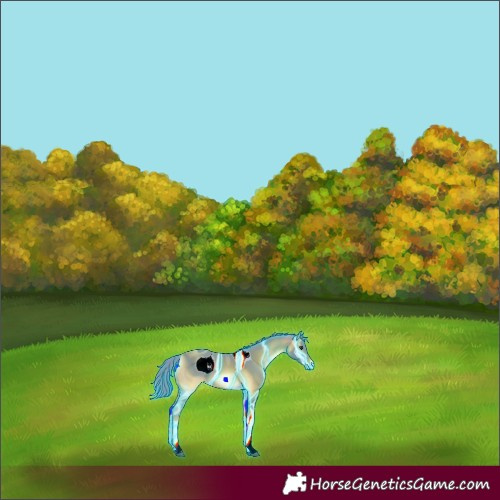 Horse Color:ERROR: UNKNOWN ANOMALY